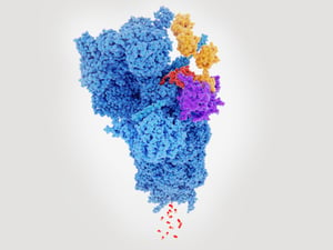 Illustrations of peptides