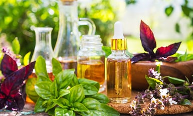 CBD oil in vase surrounded by herbal plants